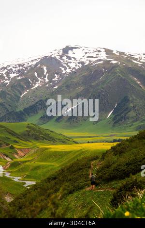 Ein erwachsener Mann in einer grünen Jacke wird auf einem unbefestigten Wanderweg gesehen, der in ein üppiges Tal mit leuchtend gelben Wildblumen führt Stockfoto