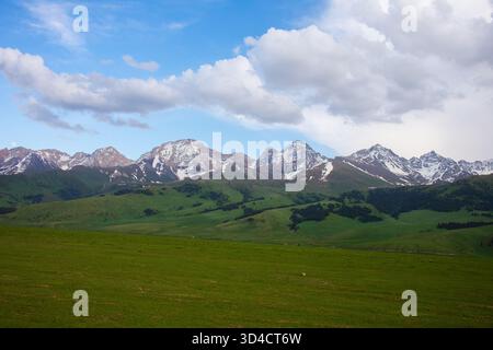 Weite Panoramalandschaft mit einer durchgehenden, majestätischen, schneebedeckten Bergkette über riesigen grünen Hügeln und einer vordergründigen Wiese unter einem bewölkten felsen Stockfoto