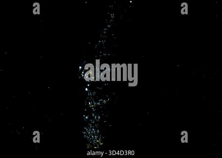 Ein Strahl klarer, transparenter Blasen steigt durch ein flüssiges Medium auf. Dieses dynamische Bild erzeugt einen abstrakten und energetischen Effekt, der für vario geeignet ist Stockfoto