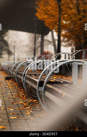 Eine lange Reihe leerer Parkbänke, die an einem nebeligen Tag mit Herbstlaub bedeckt sind, mit einer verschwommenen Außenbühne im Hintergrund. Stockfoto