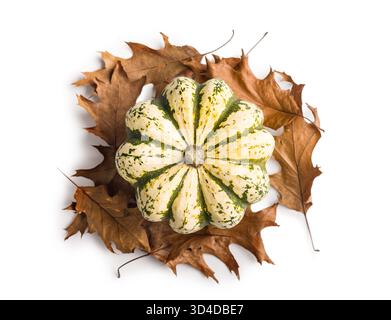 Süßer Knödel Kürbis isoliert auf weißem Hintergrund. Stockfoto