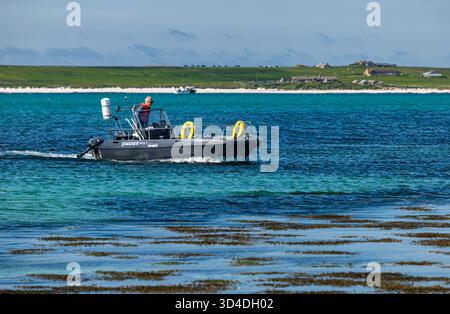 Papay Peedie Tour Guide auf RIB in der Nähe von Holm of Papa, Papa Westray Island, Orkney Islands, Schottland, Großbritannien Stockfoto