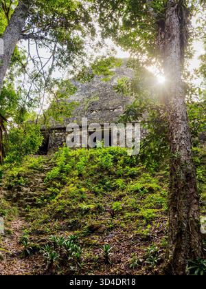Tempel der Inschriften oder Tempel VI, Tikal, Abteilung Peten, Guatemala Stockfoto
