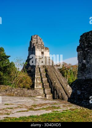 Blick über die Nordakropolis in Richtung Tempel I oder Tempel des Großen Jaguar, Tikal, Peten Department, Guatemala Stockfoto