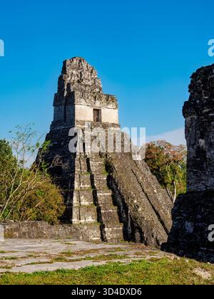 Blick über die Nordakropolis in Richtung Tempel I oder Tempel des Großen Jaguar, Tikal, Peten Department, Guatemala Stockfoto