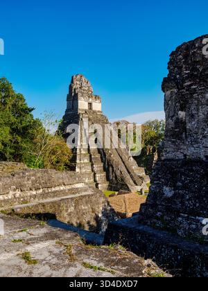 Blick über die Nordakropolis in Richtung Tempel I oder Tempel des Großen Jaguar, Tikal, Peten Department, Guatemala Stockfoto