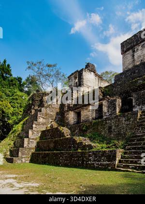 Zentrale Akropolis, Tikal, Abteilung Peten, Guatemala Stockfoto