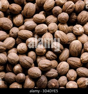 Istanbul, Türkiye - 8. November 2025: Nahaufnahme ganzer, getrockneter Muskatnuss (Myristica duftet) mit dekorativem Etikett, zum Verkauf ausgestellt. Stockfoto
