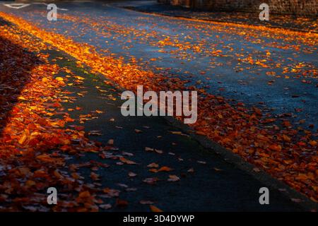 Nassbraune und goldene Herbstblätter auf einer Asphaltstraße und einem Gehweg in einer englischen Stadt Stockfoto
