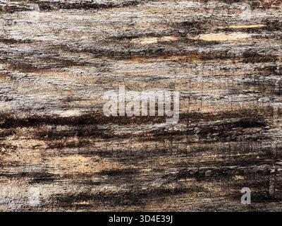 Textur von gereiftem und geschwärztem Holz. Holzstruktur. Stockfoto