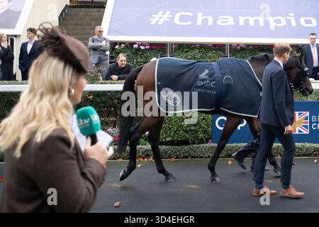 Ascot, Berkshire, Großbritannien. Oktober 2025. DER SÜSSE WILLIAM im Parade Ring, bevor er im QIPCO British Champions Long Distance Cup (Klasse 1), (Gruppe 1) beim QIPCO British Champions Day 2025 auf der Ascot Racecourse in Ascot, Berkshire, antrat. Kredit: Maureen McLean/Alamy Stockfoto