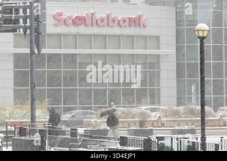 North York, Toronto. November 2025. Eine Scotiabank am 9. November 2025 in Toronto, Kanada am 9. November 2025. (Foto: Au Lok Nin/Nexpher Images/SIPA USA) Credit: SIPA USA/Alamy Live News Stockfoto