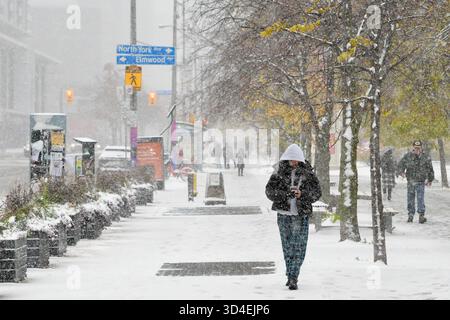 North York, Toronto. November 2025. Ein Mann, der am 9. November 2025 in Toronto, Kanada, schneite, am 9. November 2025. (Foto: Au Lok Nin/Nexpher Images/SIPA USA) Credit: SIPA USA/Alamy Live News Stockfoto