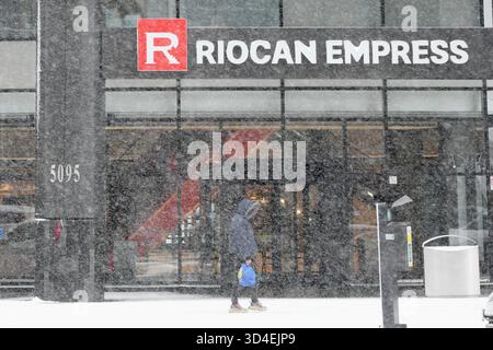 North York, Toronto. November 2025. Eine Ricoan Empress im Schnee am 9. November 2025 in Toronto, Kanada am 9. November 2025. (Foto: Au Lok Nin/Nexpher Images/SIPA USA) Credit: SIPA USA/Alamy Live News Stockfoto