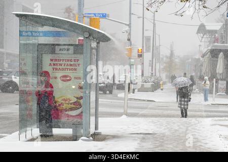 North York, Toronto. November 2025. Menschen, die am 9. November 2025 in Toronto, Kanada, durch die Straßen laufen, am 9. November 2025. (Foto: Au Lok Nin/Nexpher Images/SIPA USA) Credit: SIPA USA/Alamy Live News Stockfoto