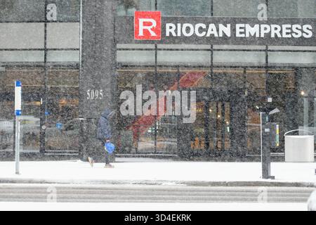 North York, Toronto. November 2025. Eine Ricoan Empress im Schnee am 9. November 2025 in Toronto, Kanada am 9. November 2025. (Foto: Au Lok Nin/Nexpher Images/SIPA USA) Credit: SIPA USA/Alamy Live News Stockfoto