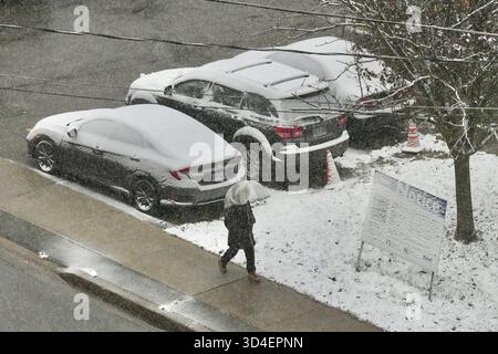 North York, Toronto. November 2025. Menschen, die am 9. November 2025 in Toronto, Kanada, durch die Straßen laufen, am 9. November 2025. (Foto: Au Lok Nin/Nexpher Images/SIPA USA) Credit: SIPA USA/Alamy Live News Stockfoto