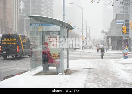 North York, Toronto. November 2025. Menschen, die am 9. November 2025 in Toronto, Kanada, durch die Straßen laufen, am 9. November 2025. (Foto: Au Lok Nin/Nexpher Images/SIPA USA) Credit: SIPA USA/Alamy Live News Stockfoto