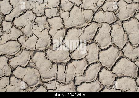 Nahaufnahme der trockenen, gerissenen Erde mit komplizierten natürlichen Mustern und Texturen, die durch extreme Dürrebedingungen entstanden sind. Stockfoto