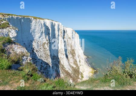 Die weißen Klippen von Dover mit Blick auf den Ärmelkanal Dover England Großbritannien GB Europa Stockfoto