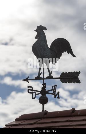 Eine Wetterfahne aus Metall, die auf einem Dach gegen einen bewölkten Himmel montiert ist, Baden-Württemberg, Deutschland Stockfoto