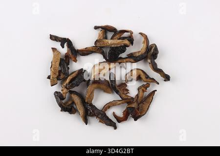 Essen, Shiitake-Pilze isoliert auf weißem Hintergrund Stockfoto