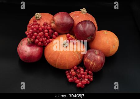 Kürbisse, Äpfel und Viburnum-Beeren im Herbst Stillleben, Thema der Bio-Ernte Stockfoto