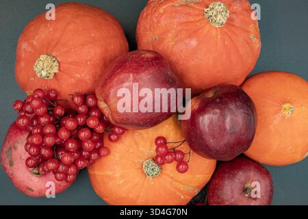 Kürbisse, Äpfel und Viburnum-Beeren im Herbst Stillleben, Thema der Bio-Ernte Stockfoto