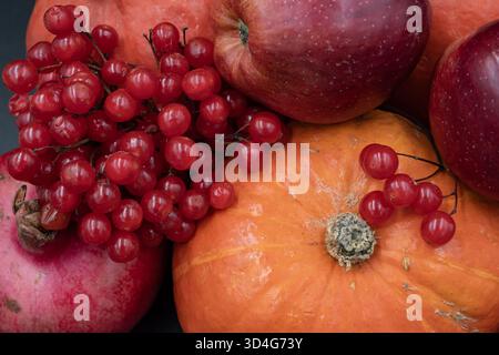 Kürbisse, Äpfel und Viburnum-Beeren im Herbst Stillleben, Thema der Bio-Ernte Stockfoto