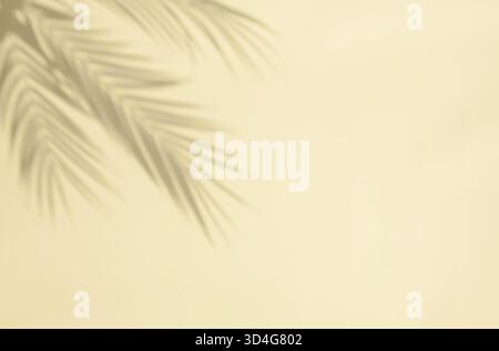Palmblattschatten auf pastellbeigem Hintergrund. Abstrakter neutraler heller Hintergrund von Schatten Palmblatt mit Kopierraum Stockfoto
