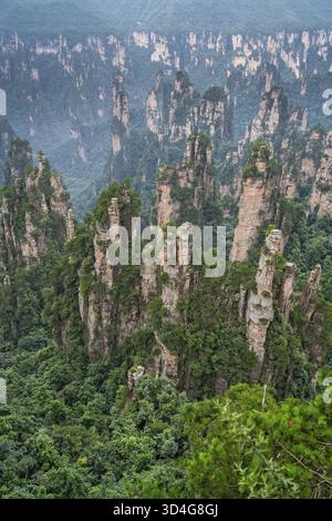 Vertikale Ansicht der steinernen Säulen der Tianzi Berge in Zhangjiajie National Park ist eine berühmte Touristenattraktion, Landschaftspark Wulingyuan gelegen, Provinz Hunan, Stockfoto