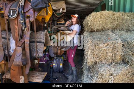 Reiten auf Marsh Tacky Horses auf Daufuskie Island. Stockfoto
