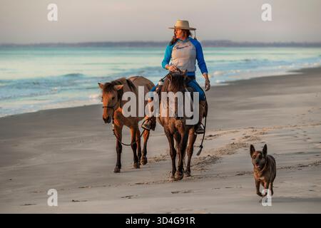 Reiten auf Marsh Tacky Horses auf Daufuskie Island. Stockfoto