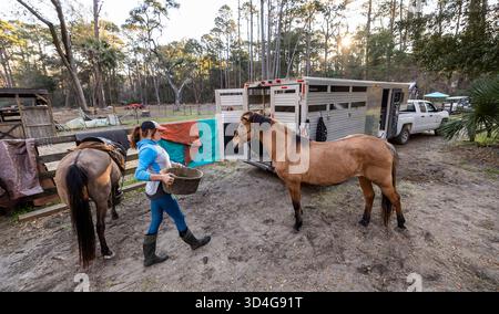 Reiten auf Marsh Tacky Horses auf Daufuskie Island. Stockfoto