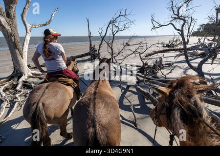 Reiten auf Marsh Tacky Horses auf Daufuskie Island. Stockfoto