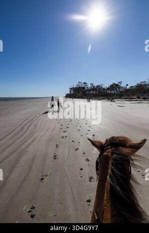 Reiten auf Marsh Tacky Horses auf Daufuskie Island. Stockfoto
