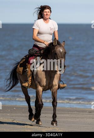 Reiten auf Marsh Tacky Horses auf Daufuskie Island. Stockfoto