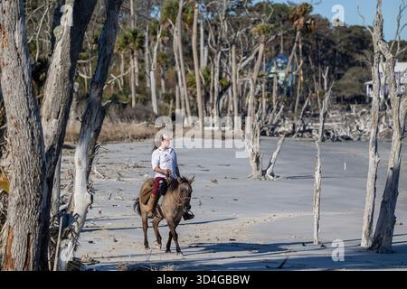 Reiten auf Marsh Tacky Horses auf Daufuskie Island. Stockfoto