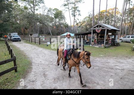 Reiten auf Marsh Tacky Horses auf Daufuskie Island. Stockfoto