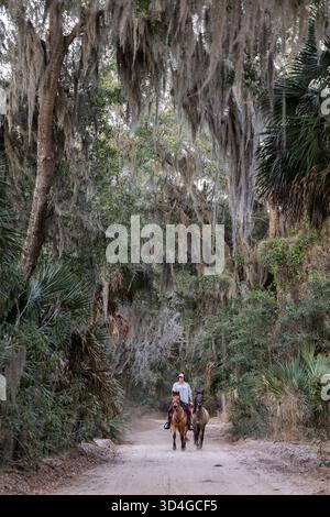 Reiten auf Marsh Tacky Horses auf Daufuskie Island. Stockfoto