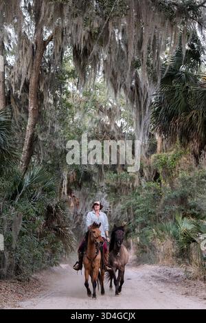 Reiten auf Marsh Tacky Horses auf Daufuskie Island. Stockfoto