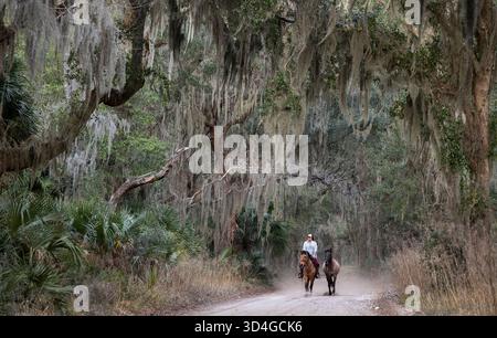 Reiten auf Marsh Tacky Horses auf Daufuskie Island. Stockfoto