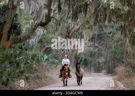 Reiten auf Marsh Tacky Horses auf Daufuskie Island. Stockfoto