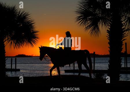 Reiten auf Marsh Tacky Horses auf Daufuskie Island. Stockfoto
