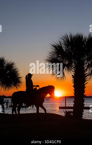 Reiten auf Marsh Tacky Horses auf Daufuskie Island. Stockfoto