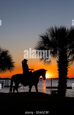 Reiten auf Marsh Tacky Horses auf Daufuskie Island. Stockfoto