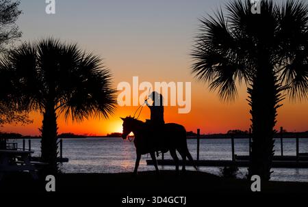 Reiten auf Marsh Tacky Horses auf Daufuskie Island. Stockfoto