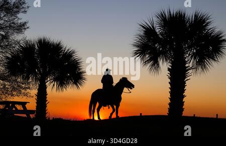 Reiten auf Marsh Tacky Horses auf Daufuskie Island. Stockfoto