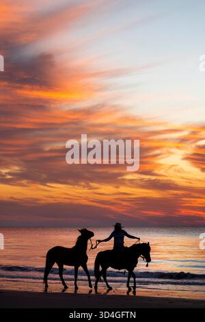 Reiten auf Marsh Tacky Horses auf Daufuskie Island. Stockfoto