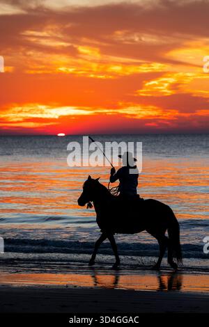 Reiten auf Marsh Tacky Horses auf Daufuskie Island. Stockfoto